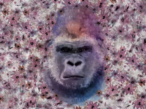 Monkey Kong