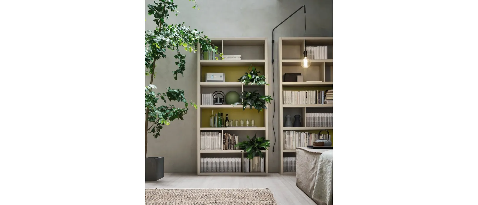 Libreria Seta di Maronese