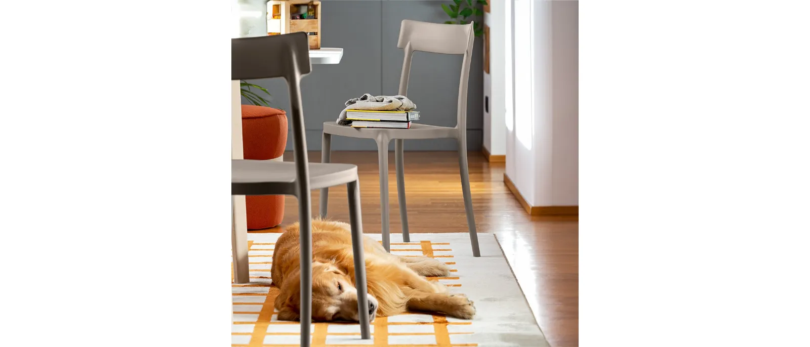 Sedia Argo dal design classico in polipropilene di Connubia