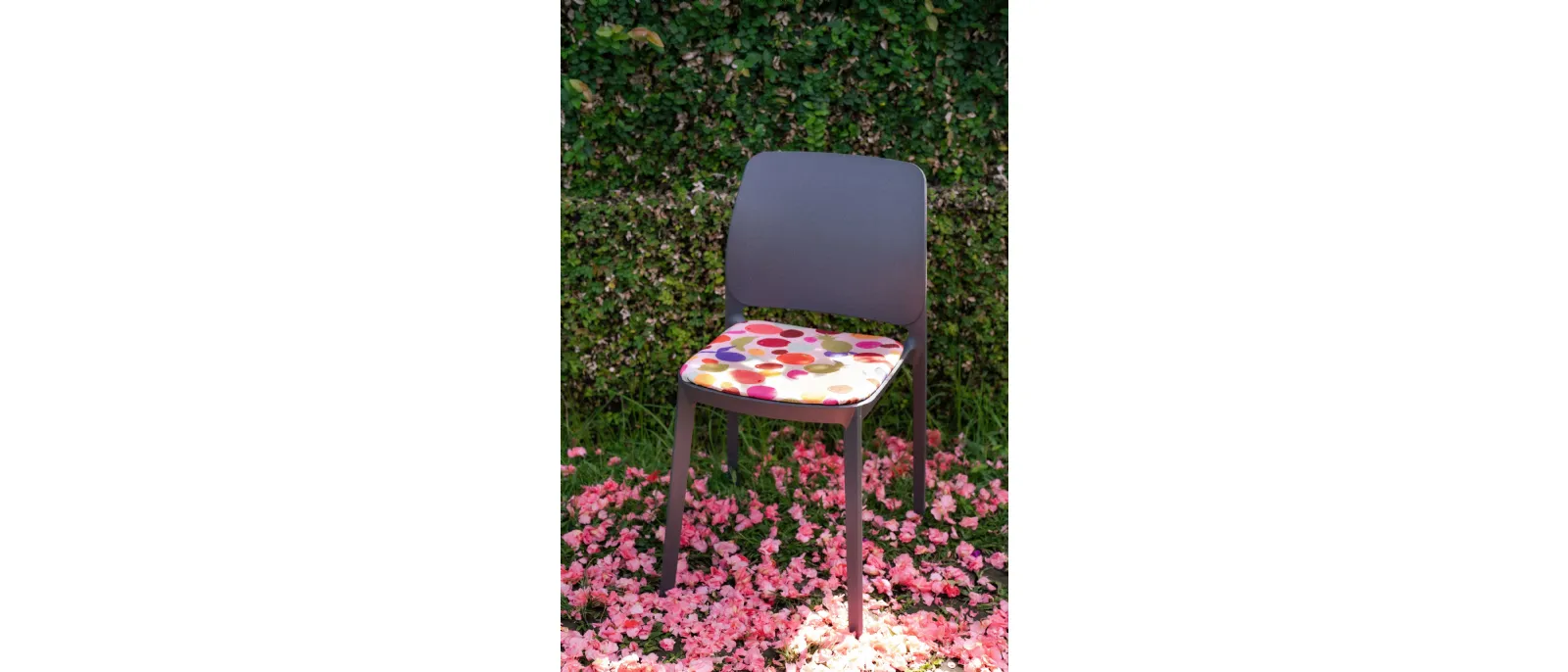 Sedia Tipa Ika Jane di Pointhouse