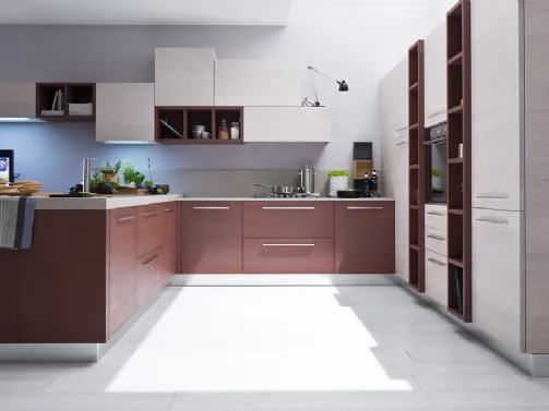 Zenzero Rovere Vinaccia